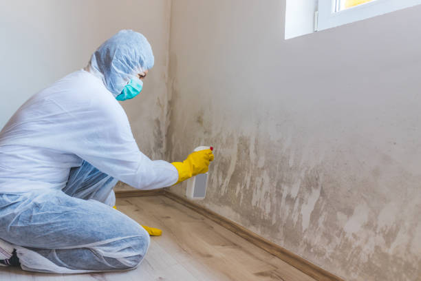 Commercial Mold Remediation assessment for commercial property in Ardmore